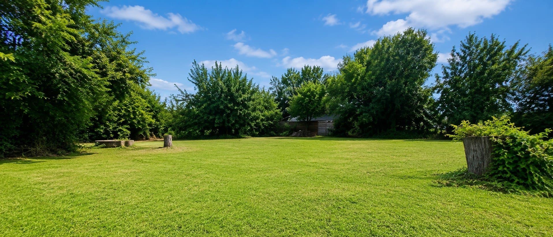 1.49 acres in Dallas County gallery image 4