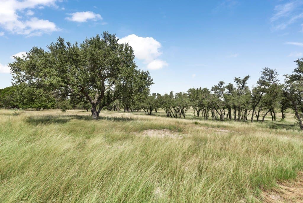 10 acres in Gillespie County - photo 13