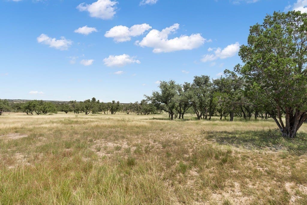 10 acres in Gillespie County - photo 24