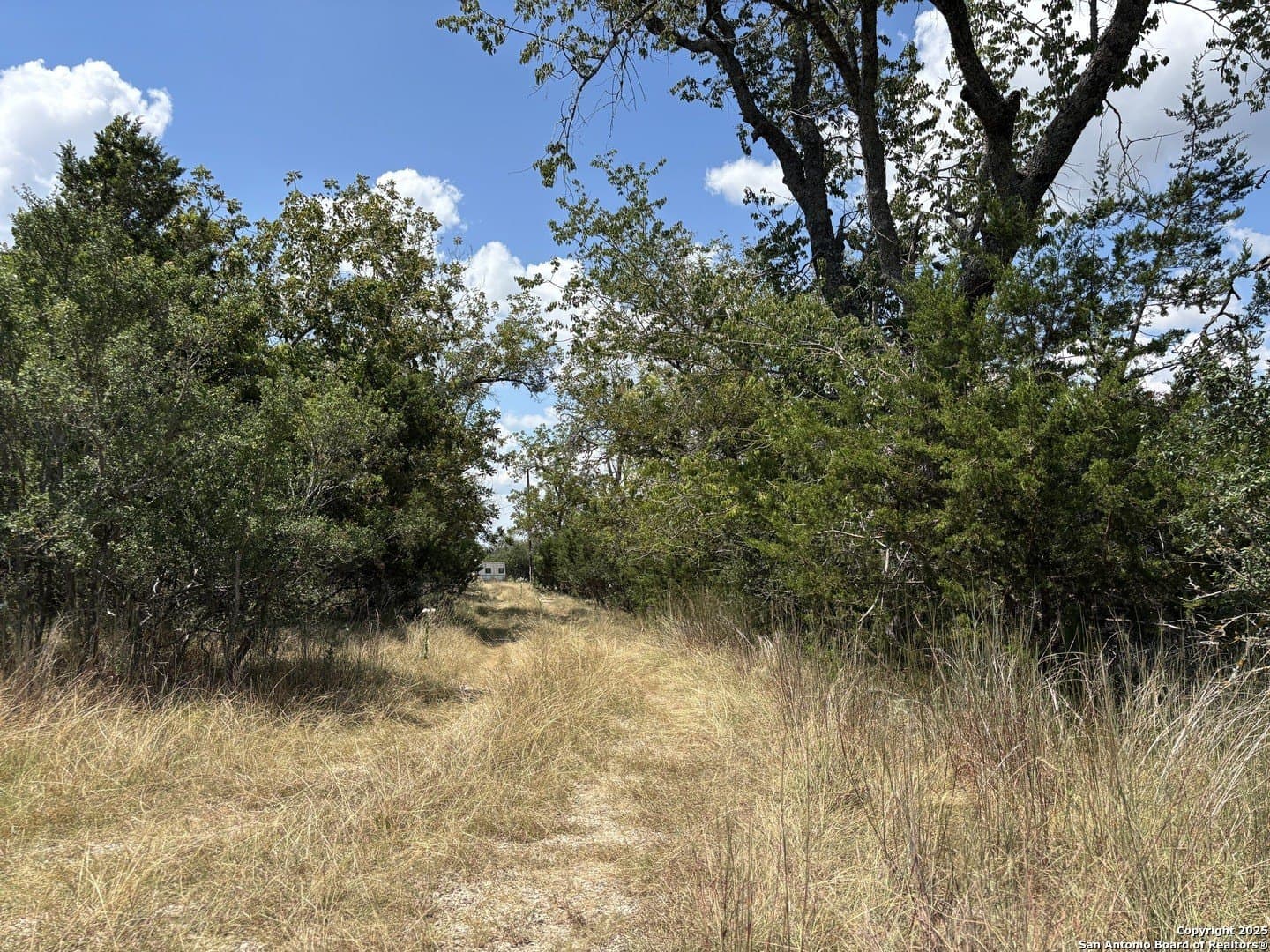 10.01 acres in Kendall County - photo 10