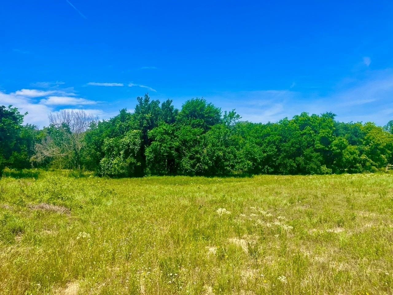 2 acres in Parker County - photo 3