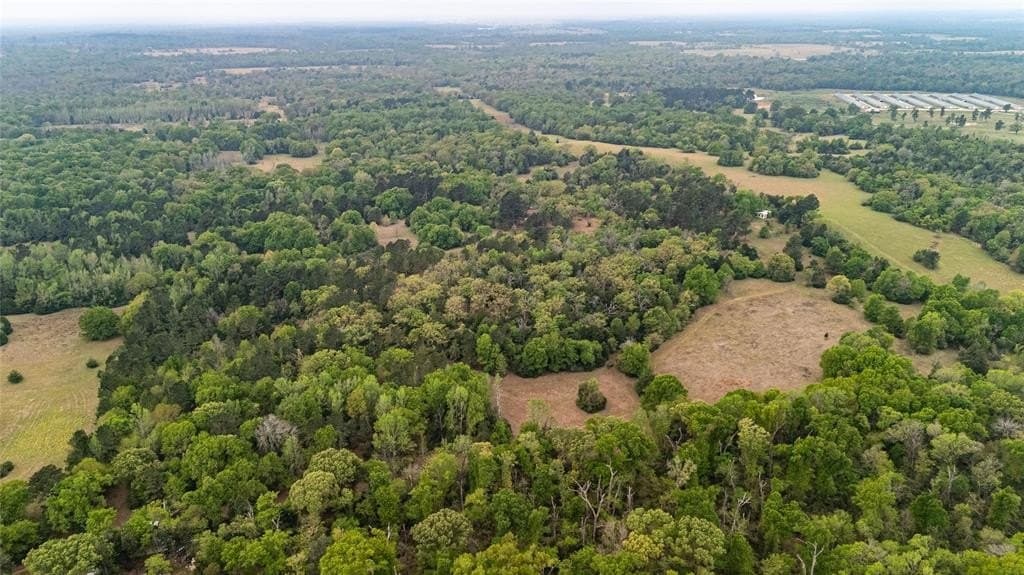 36.6 acres in Freestone County gallery image 4