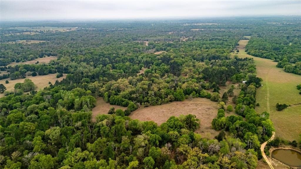 36.6 acres in Freestone County featured view