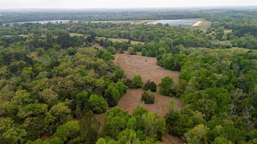 36.6 acres in Freestone County gallery image 3