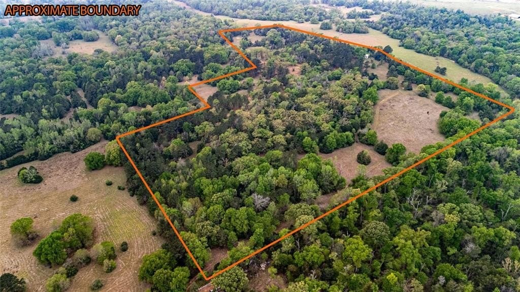 36.6 acres in Freestone County gallery image 2