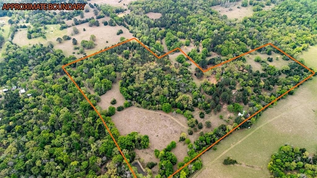 36.6 acres in Freestone County