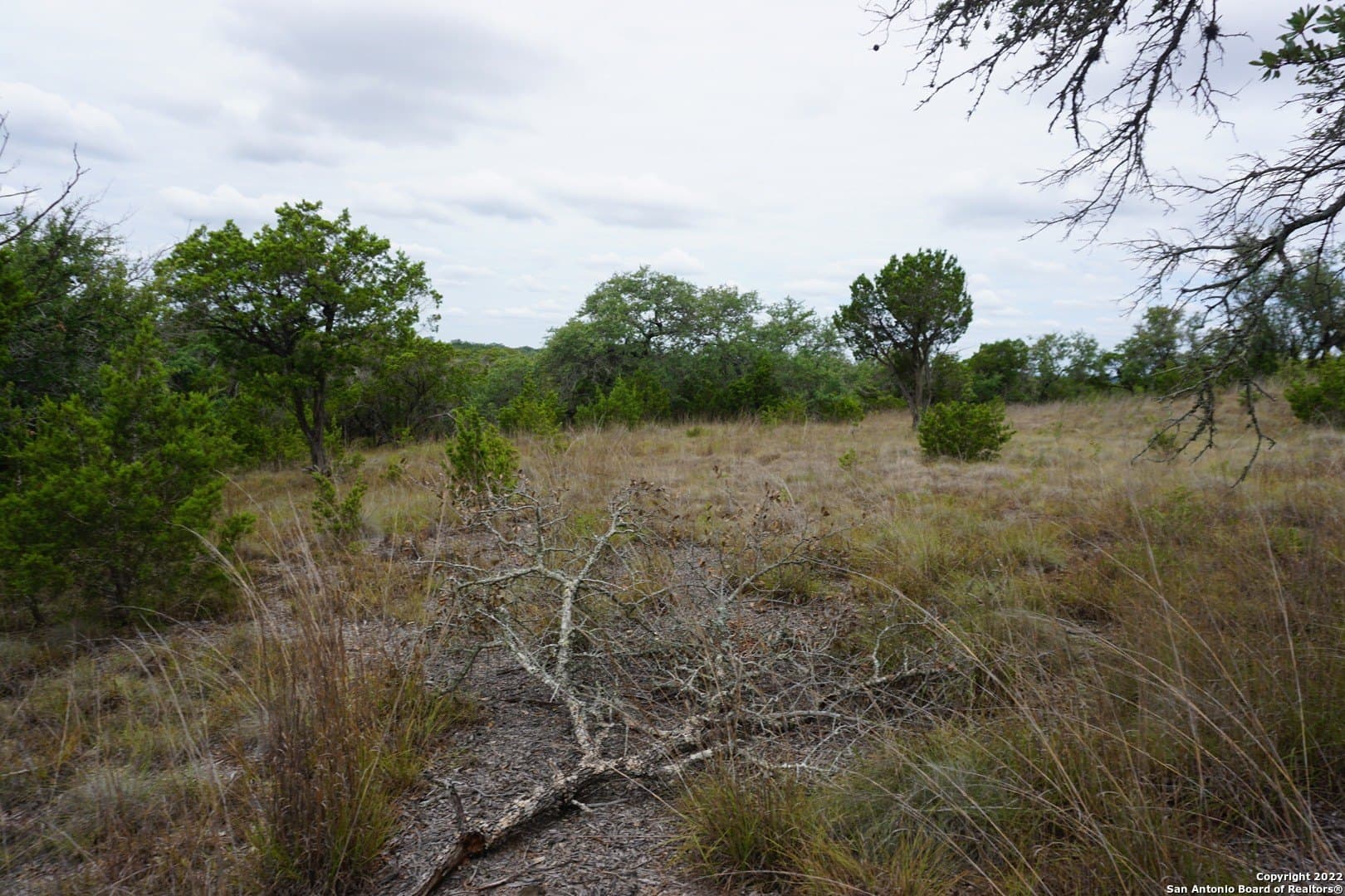 16.7 acres in Hays County - photo 29