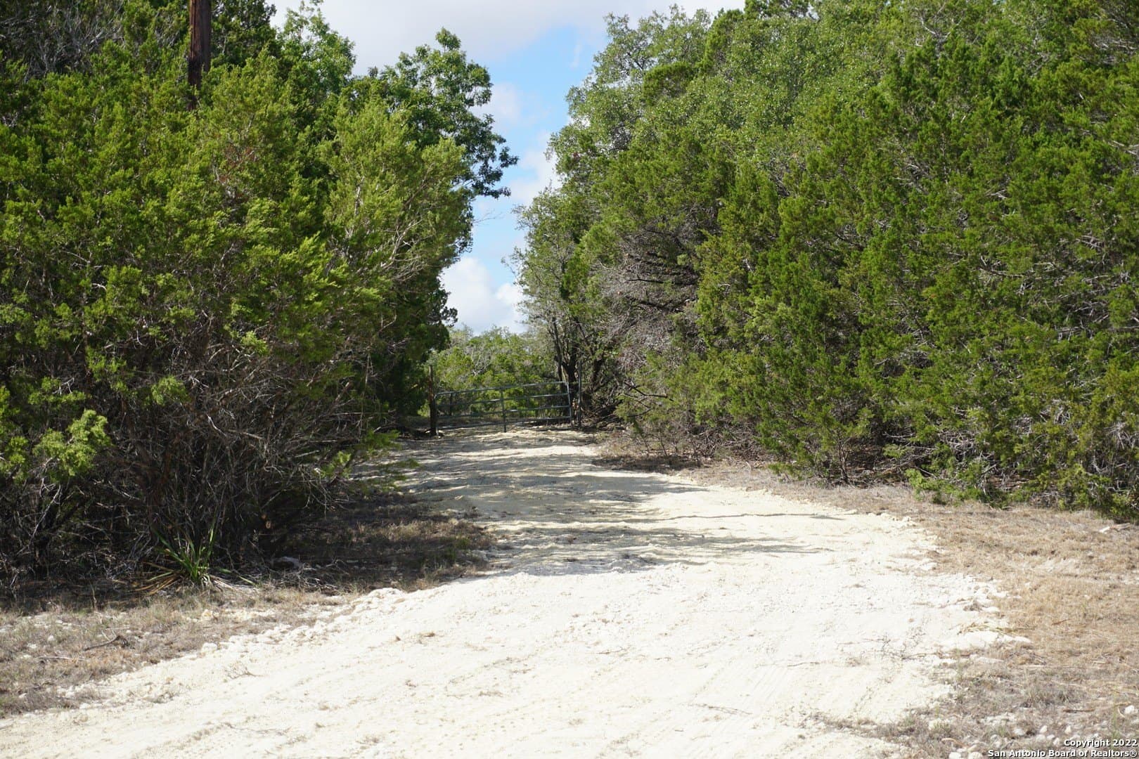 16.7 acres in Hays County - photo 10