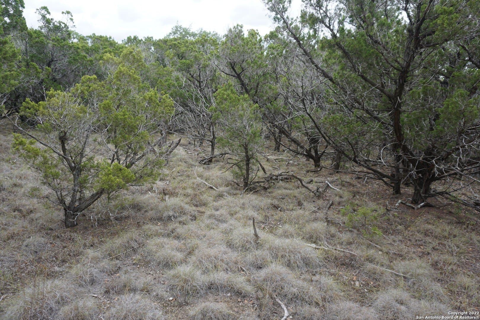 16.7 acres in Hays County - photo 38