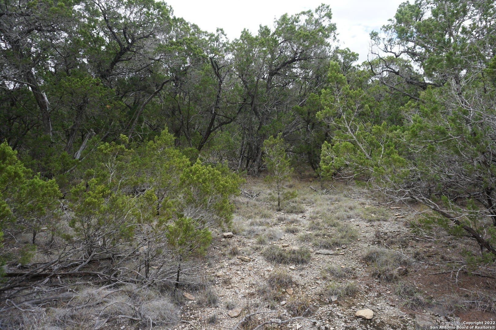 16.7 acres in Hays County - photo 41