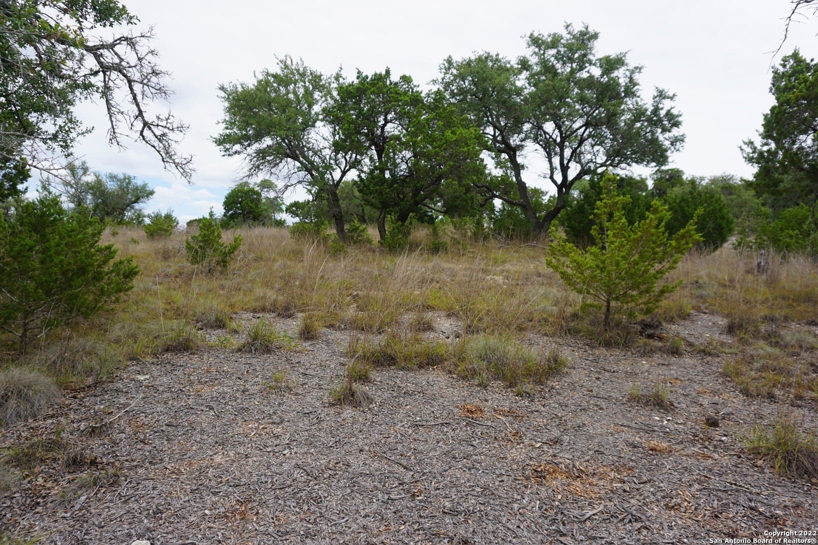 16.7 acres in Hays County - photo 33