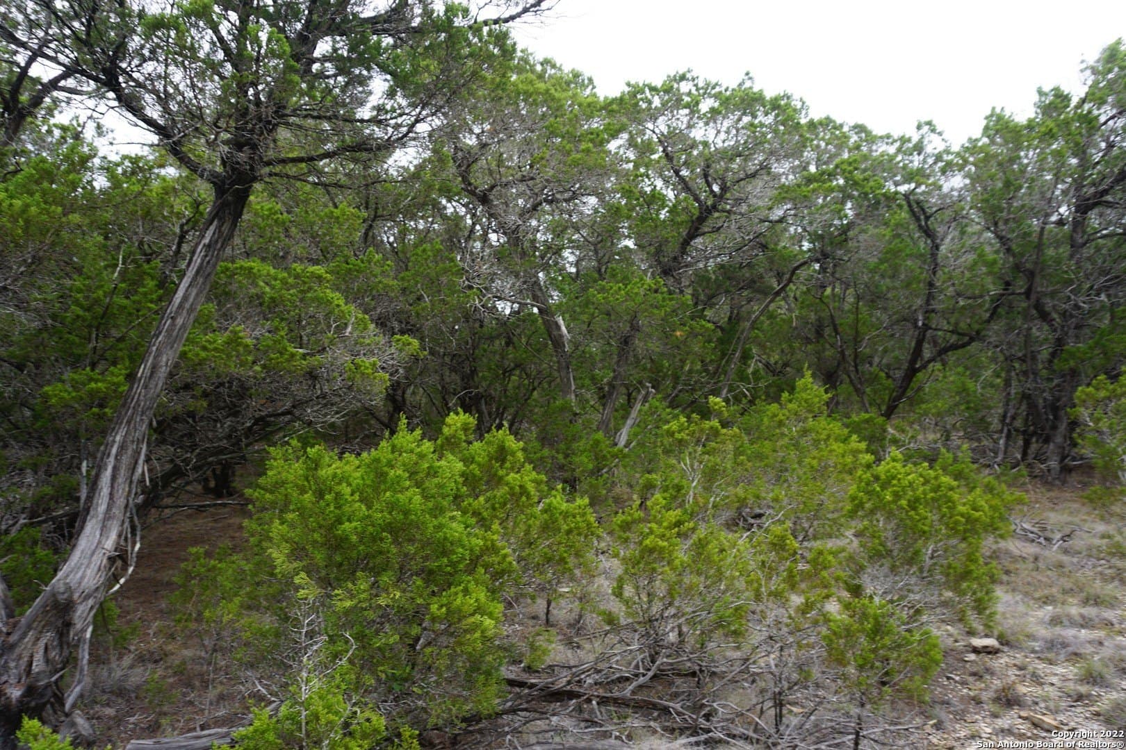 16.7 acres in Hays County - photo 40
