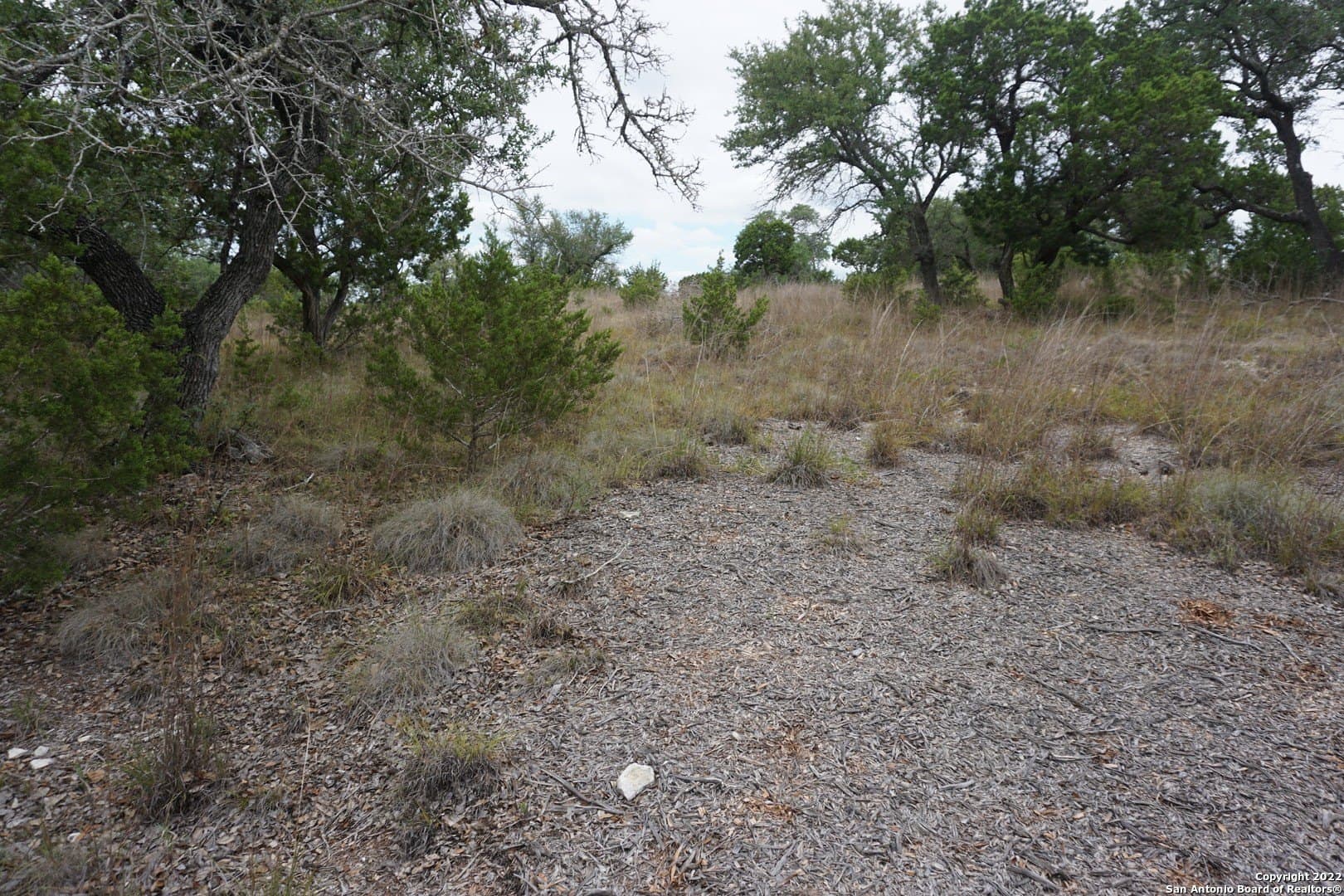 16.7 acres in Hays County - photo 34