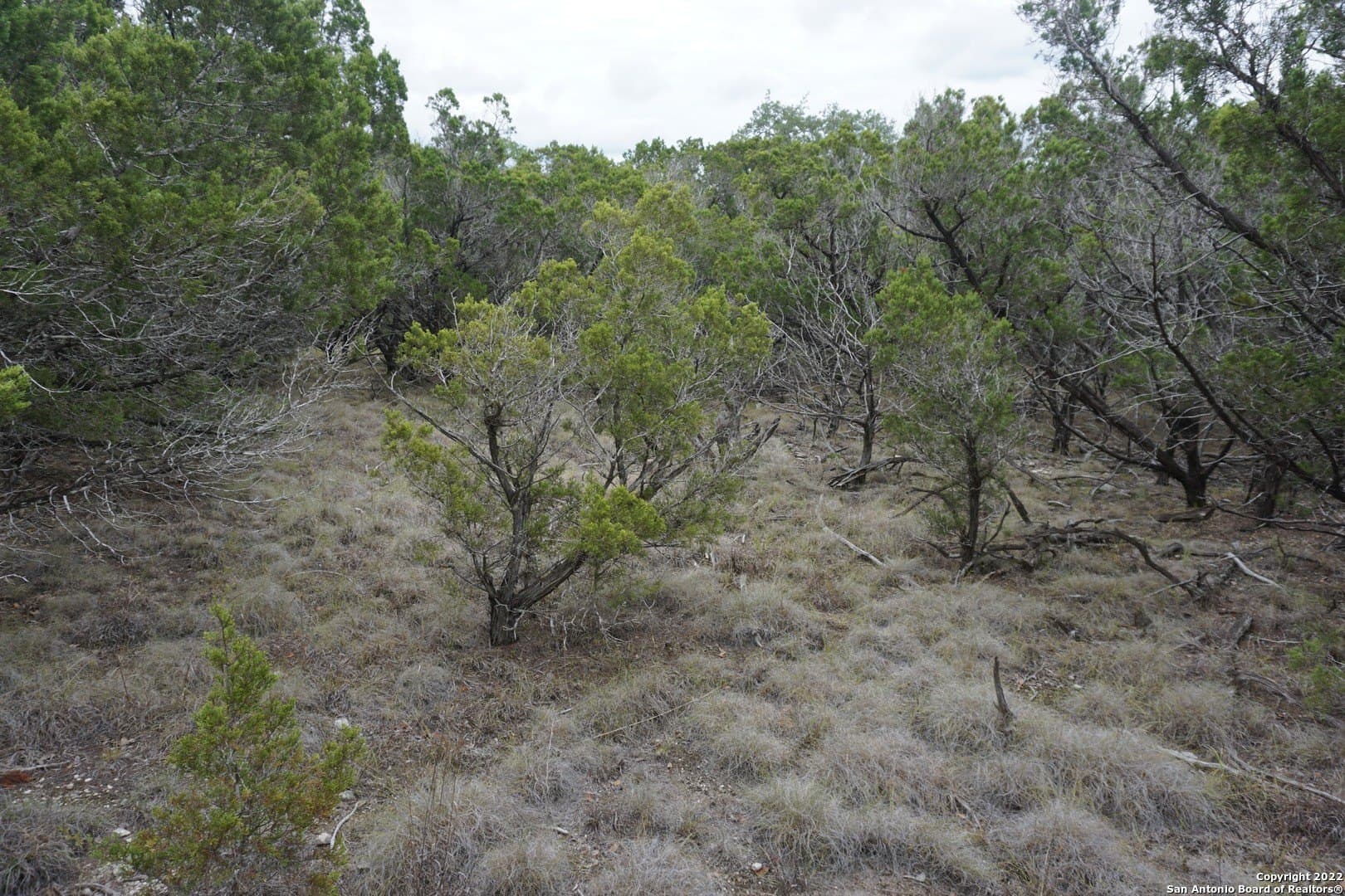 16.7 acres in Hays County - photo 39