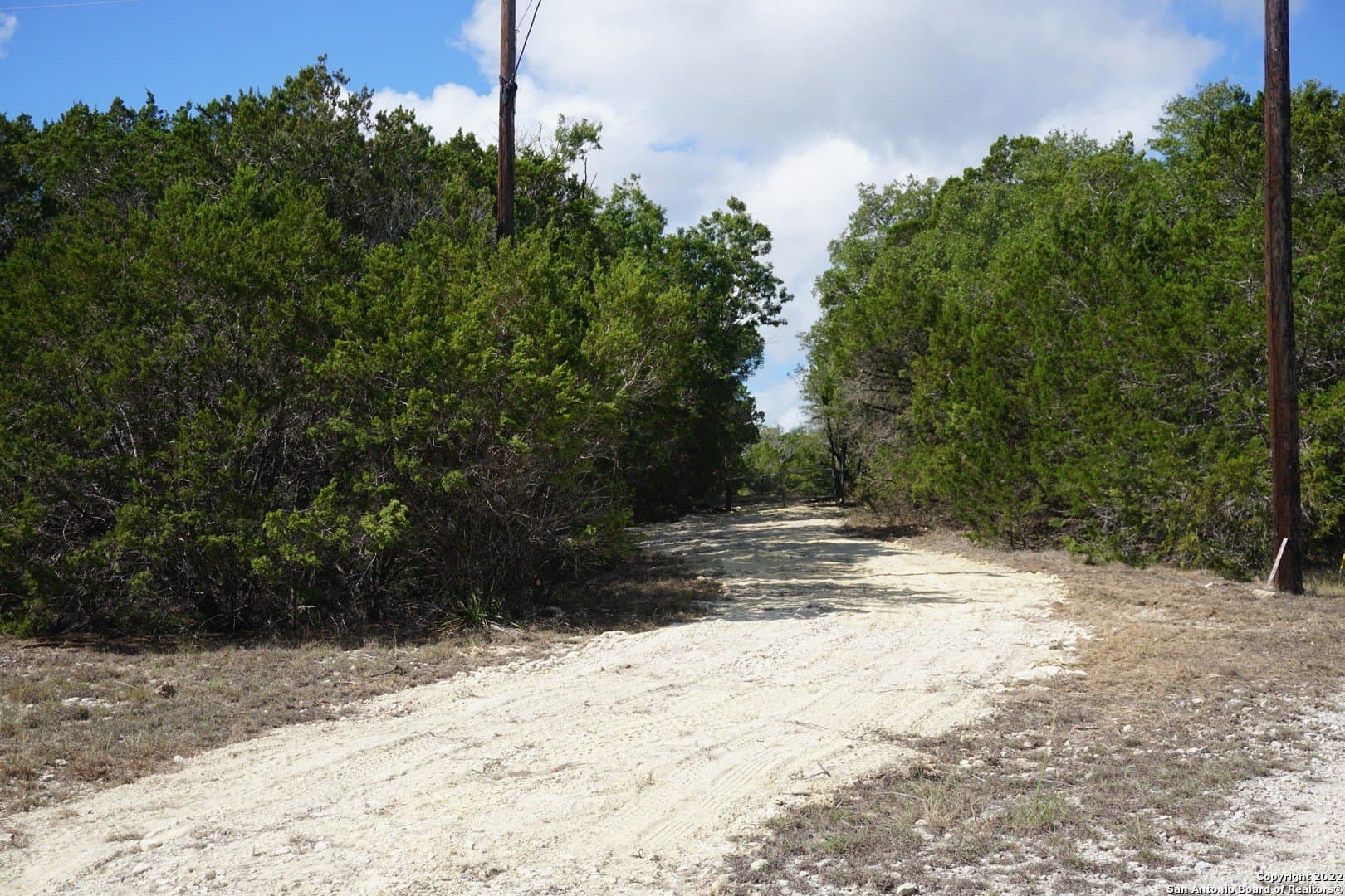 16.7 acres in Hays County - photo 9