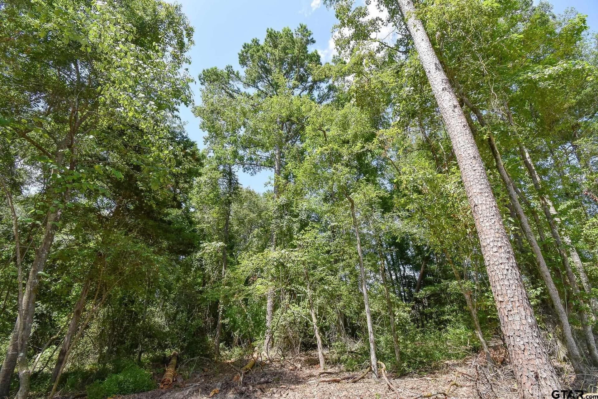 0.57 acres in Smith County - photo 8