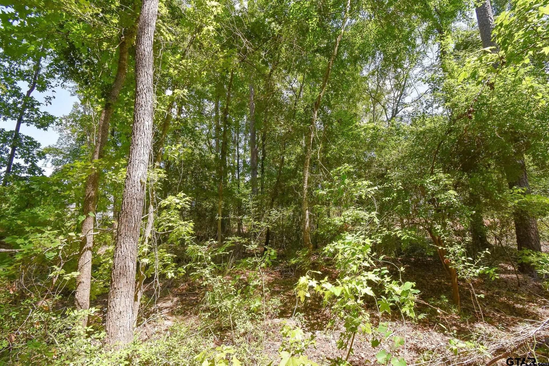 0.57 acres in Smith County - photo 6