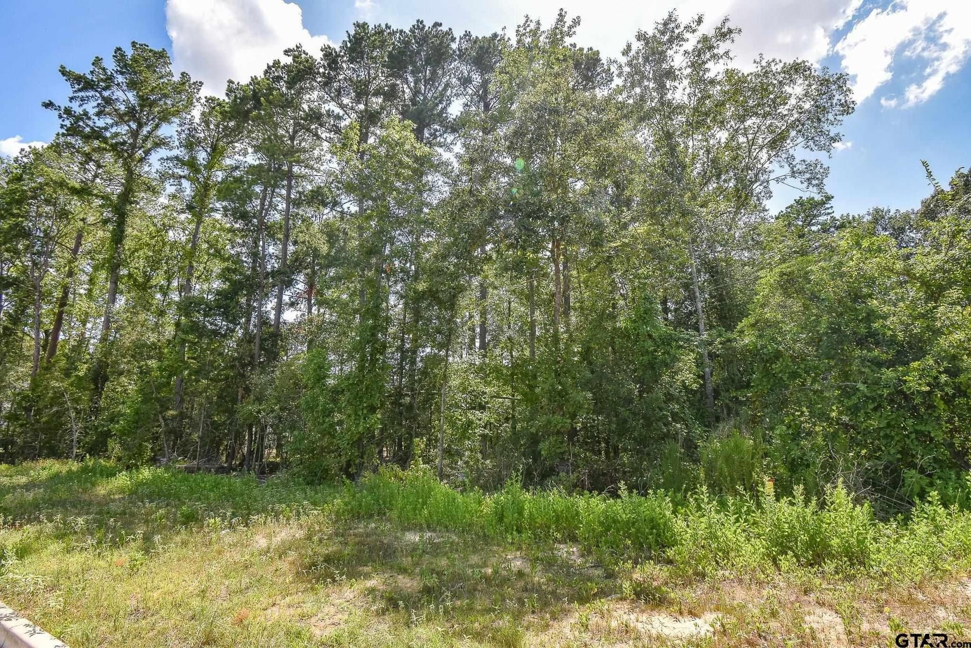 0.57 acres in Smith County gallery image 3
