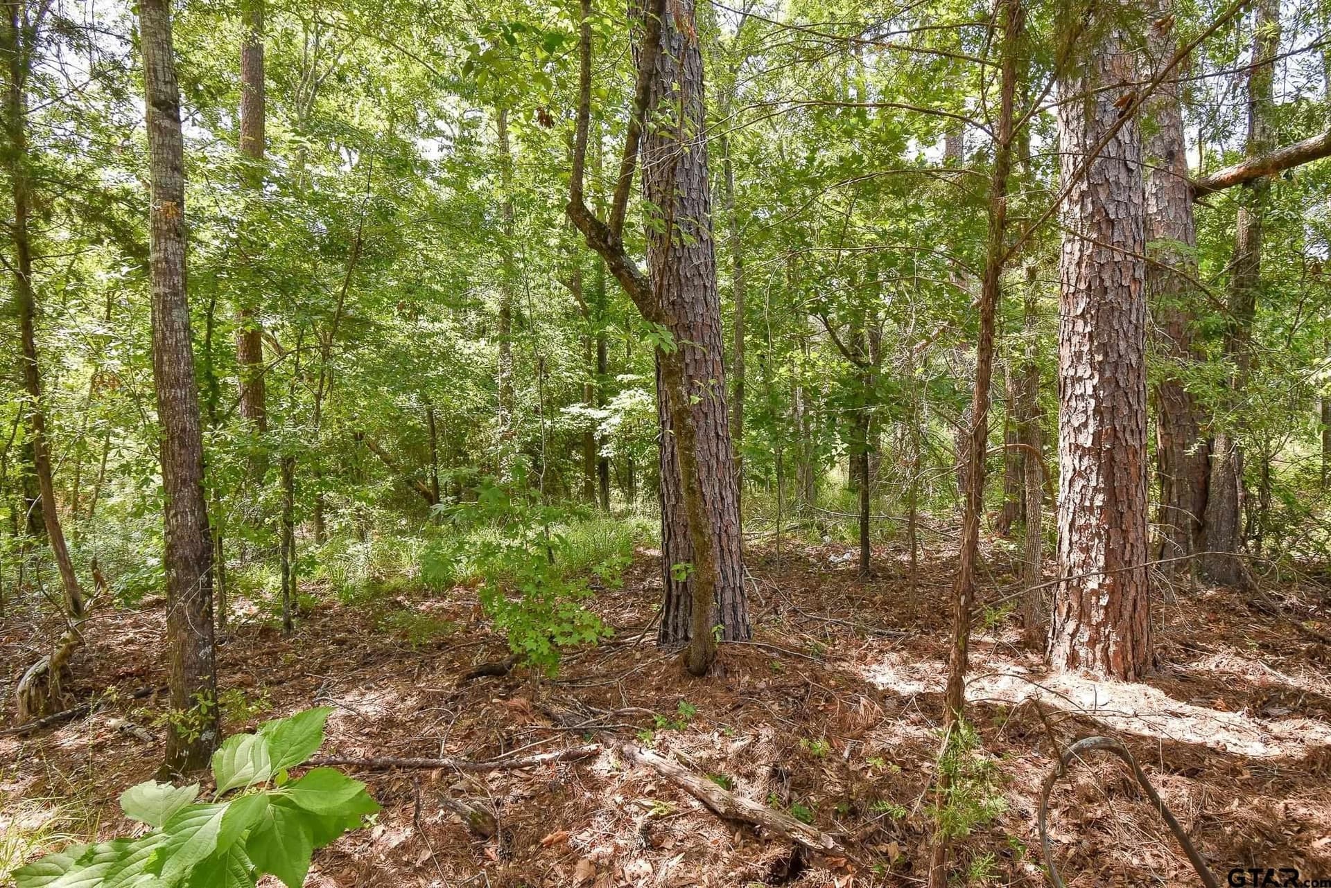 0.57 acres in Smith County - photo 7