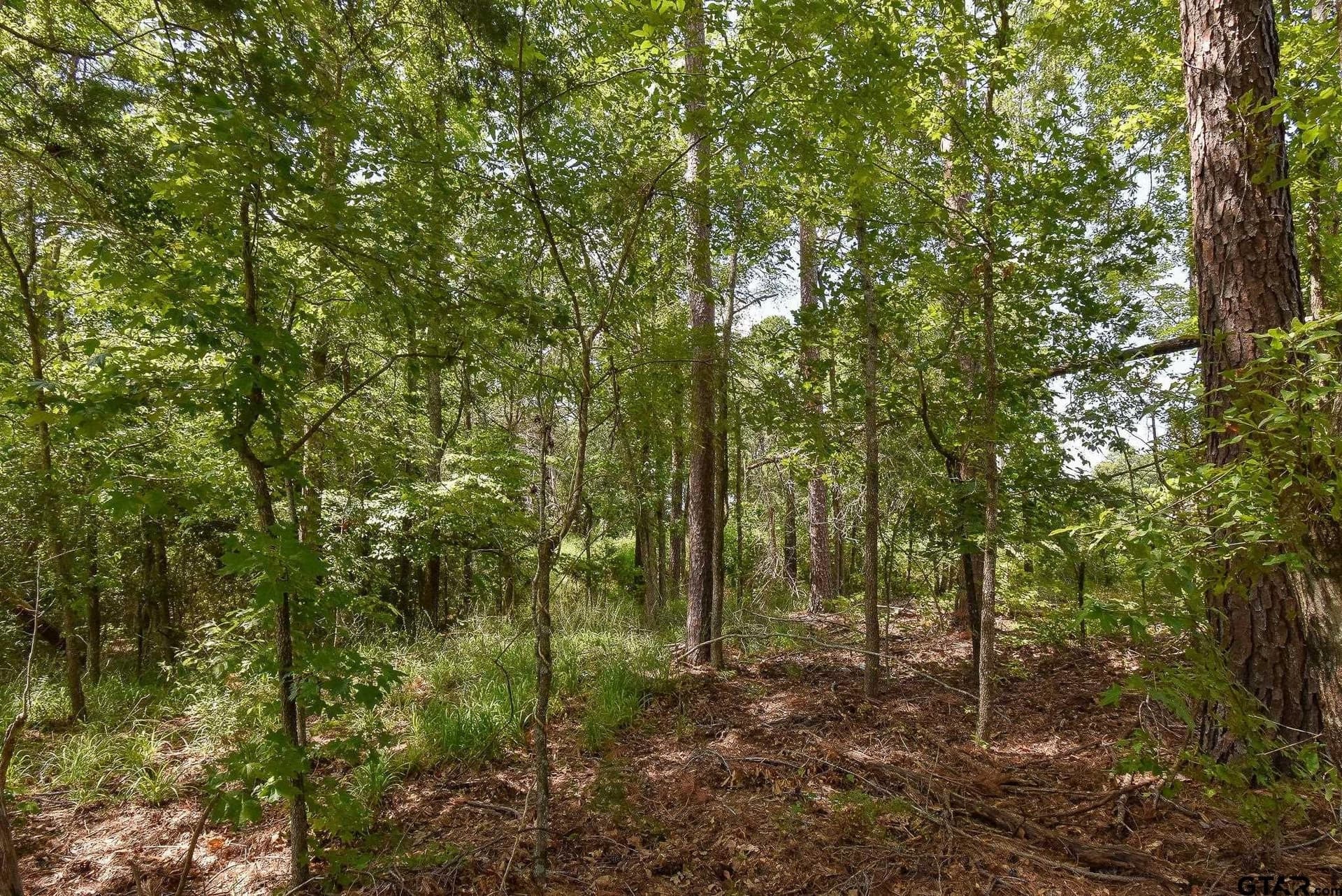 0.57 acres in Smith County featured view