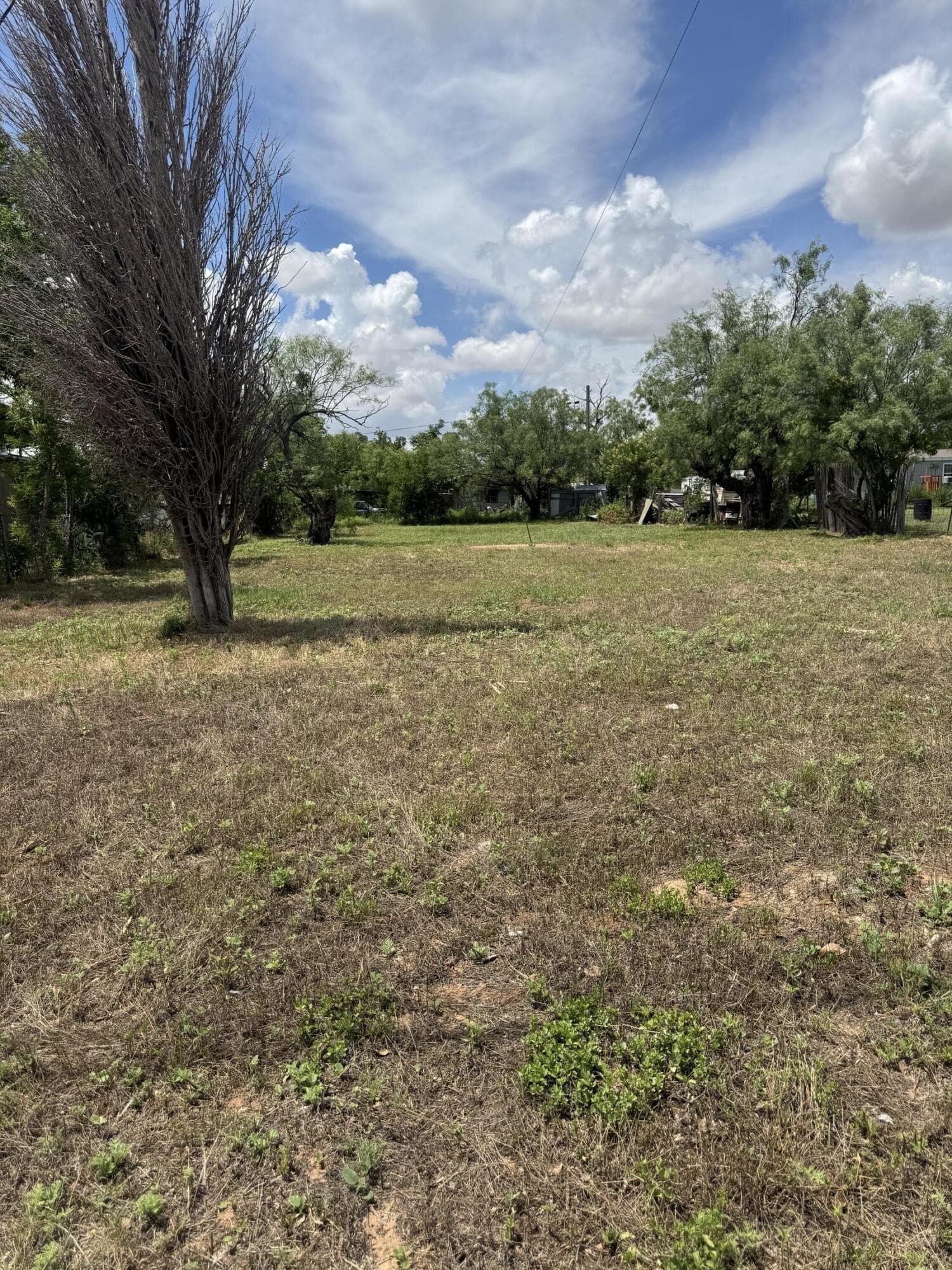 0 acres in Runnels County gallery image 4