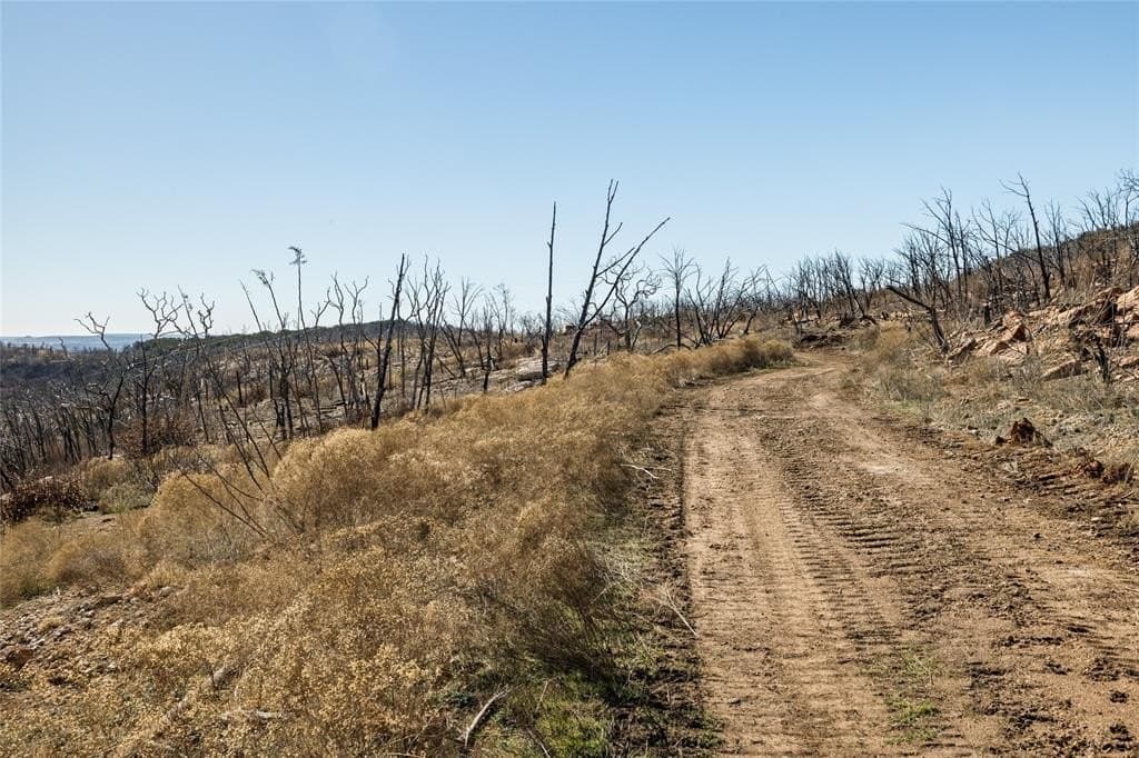 320 acres in Palo Pinto County featured view