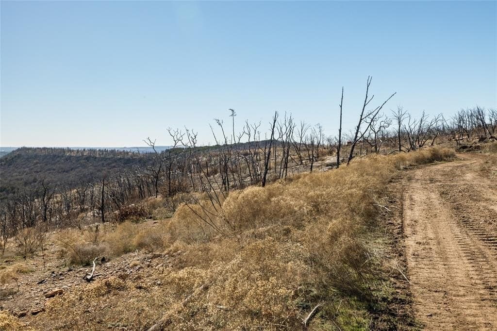 320 acres in Palo Pinto County gallery image 3