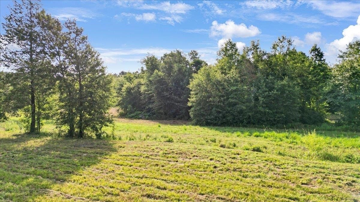 32 acres in Upshur County gallery image 3