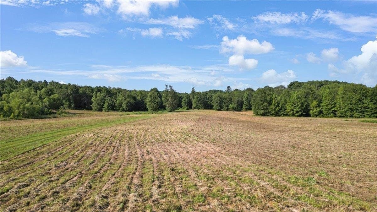 32 acres in Upshur County featured view