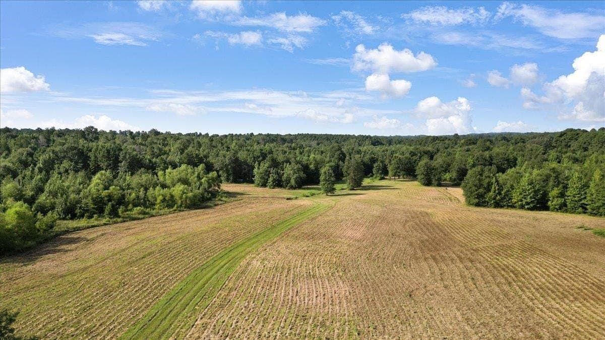 32 acres in Upshur County gallery image 2