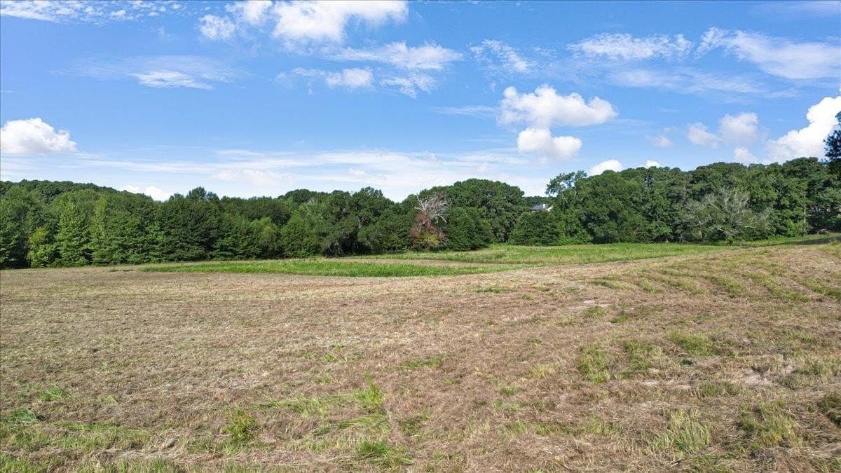 32 acres in Upshur County gallery image 4