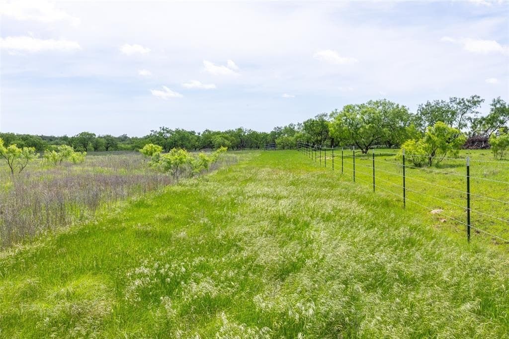 46.54 acres in Taylor County featured view