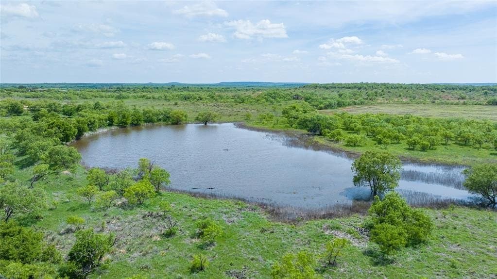 46.54 acres in Taylor County gallery image 2