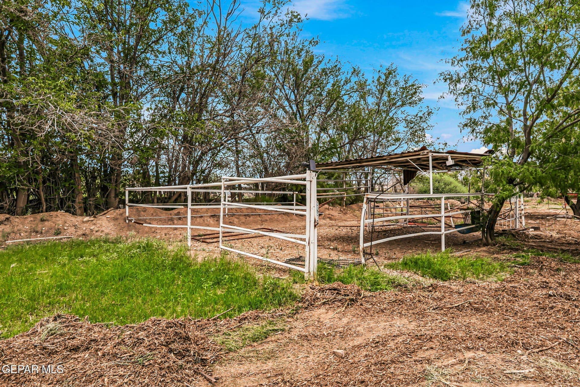 1 acres in El Paso County - photo 42