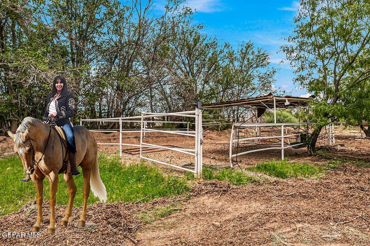 1 acres in El Paso County - photo 41