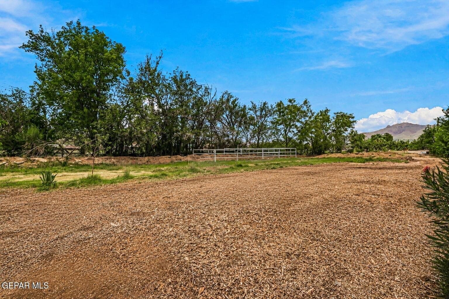 1 acres in El Paso County - photo 40