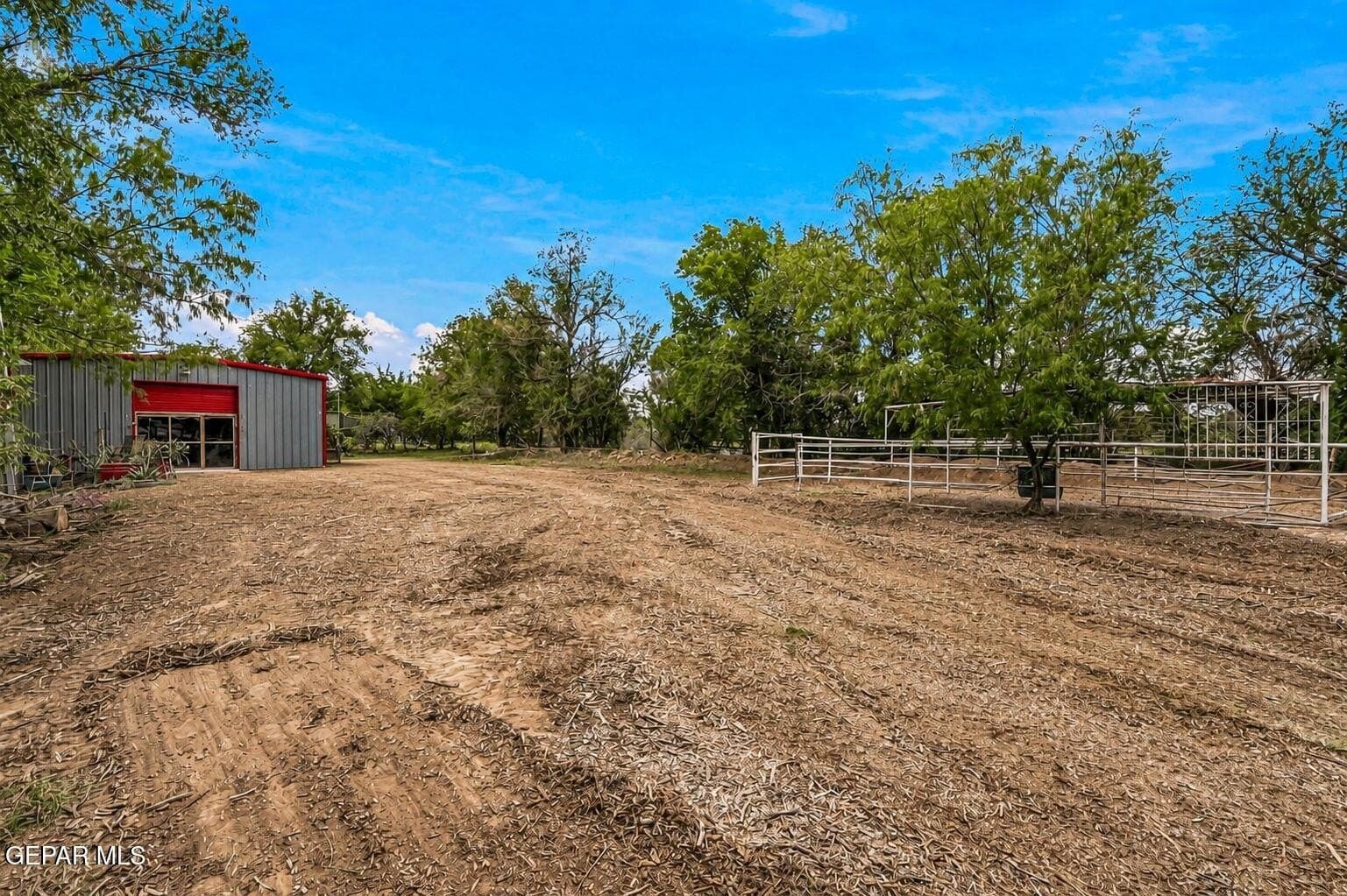 1 acres in El Paso County - photo 51
