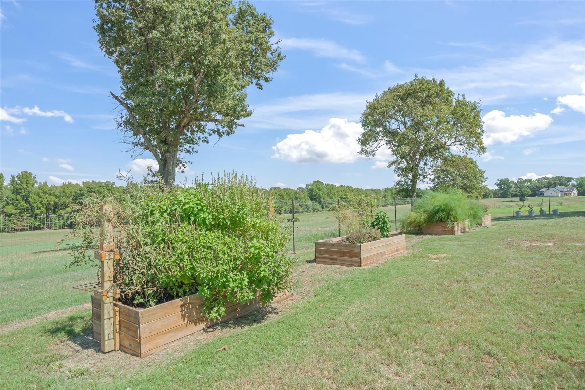 32.86 acres in Van Zandt County - photo 30