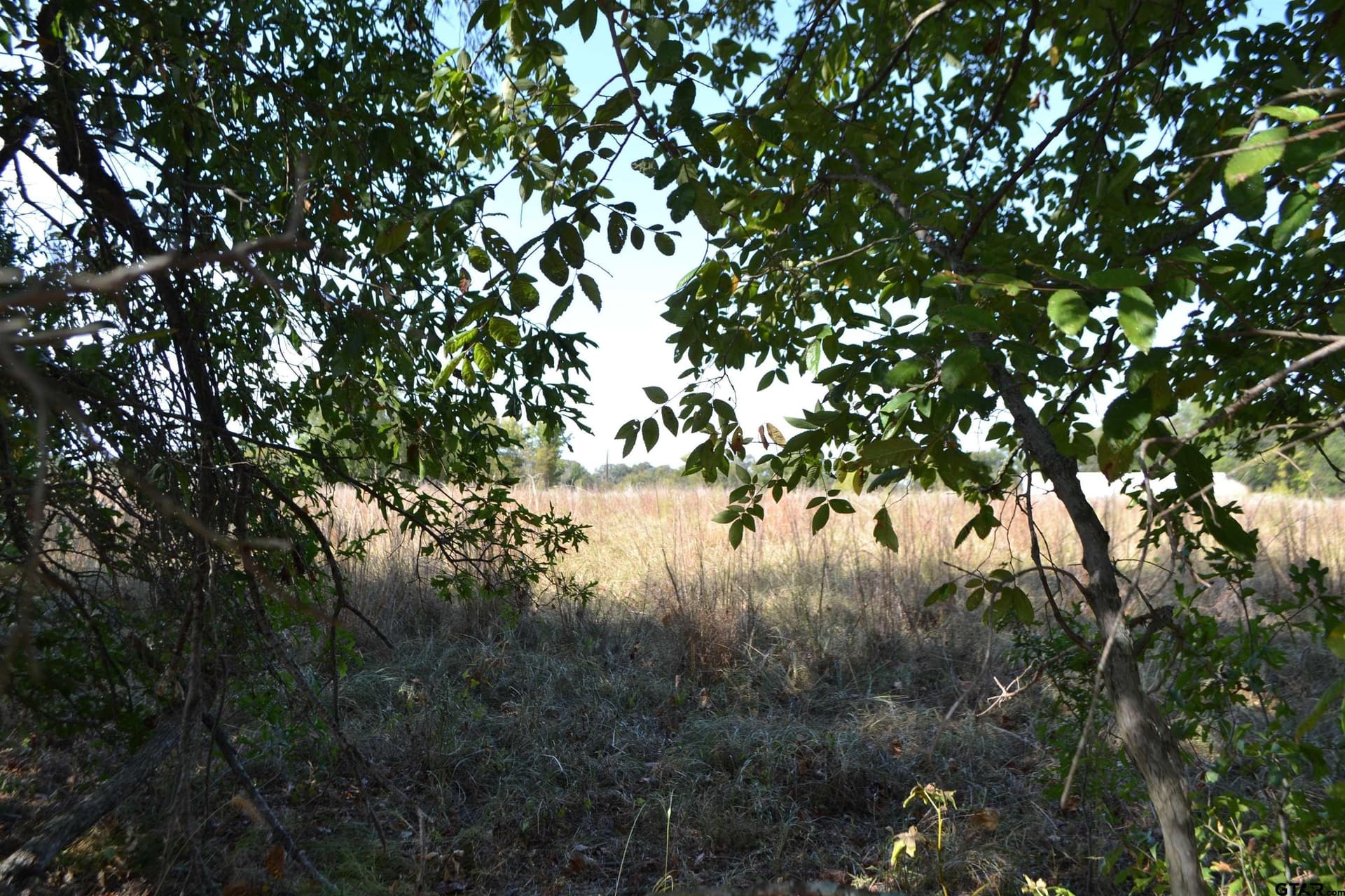 1.02 acres in Rains County - photo 3
