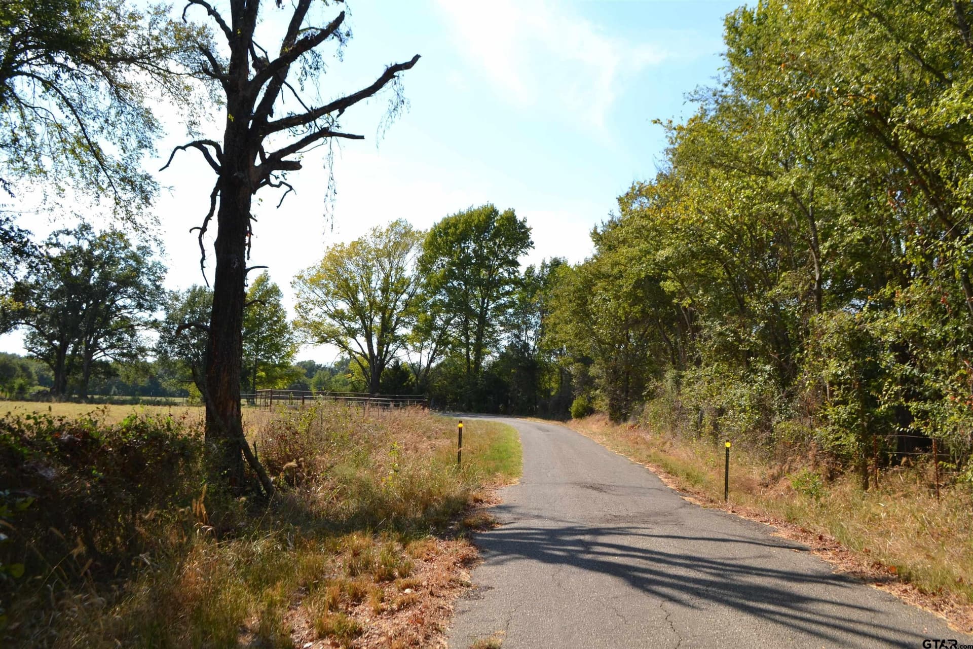 1.02 acres in Rains County - photo 5