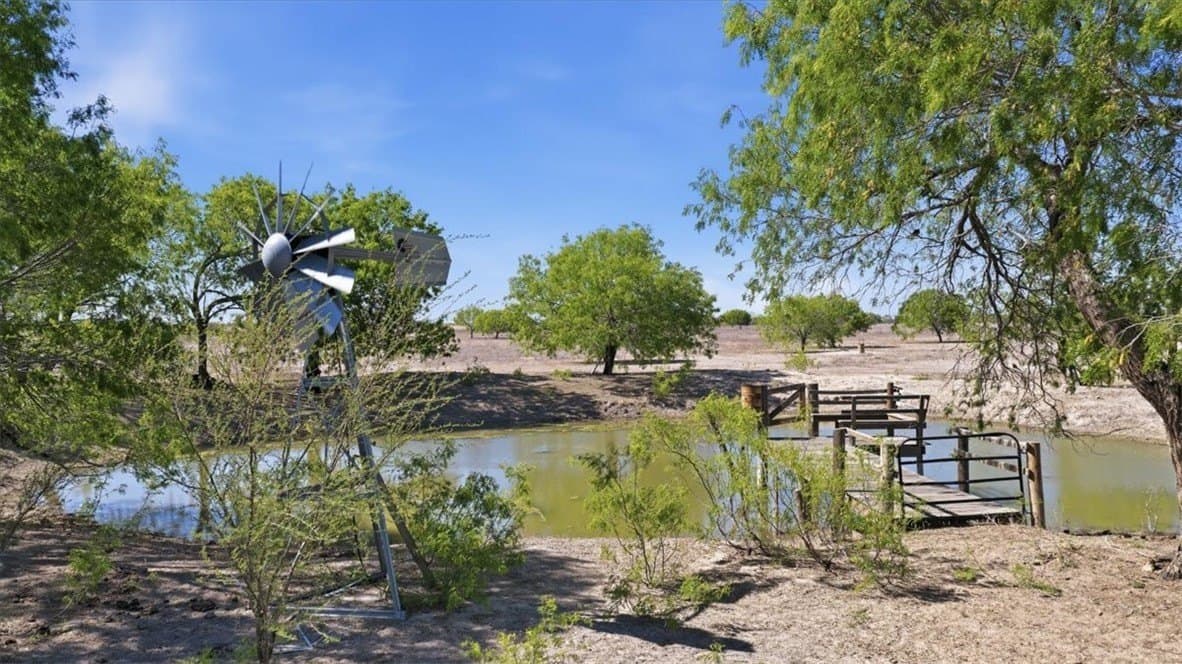 20 acres in Live Oak County - photo 37