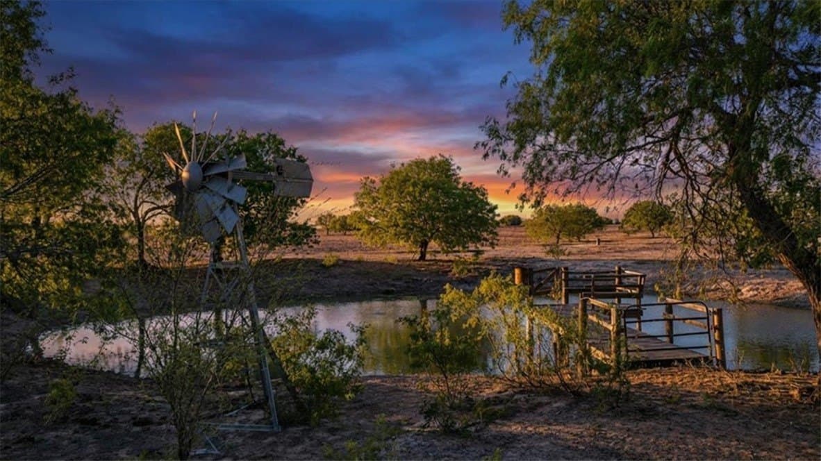 20 acres in Live Oak County - photo 36