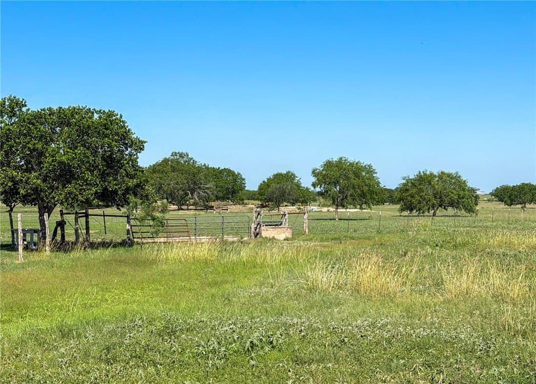 20 acres in Live Oak County - photo 35