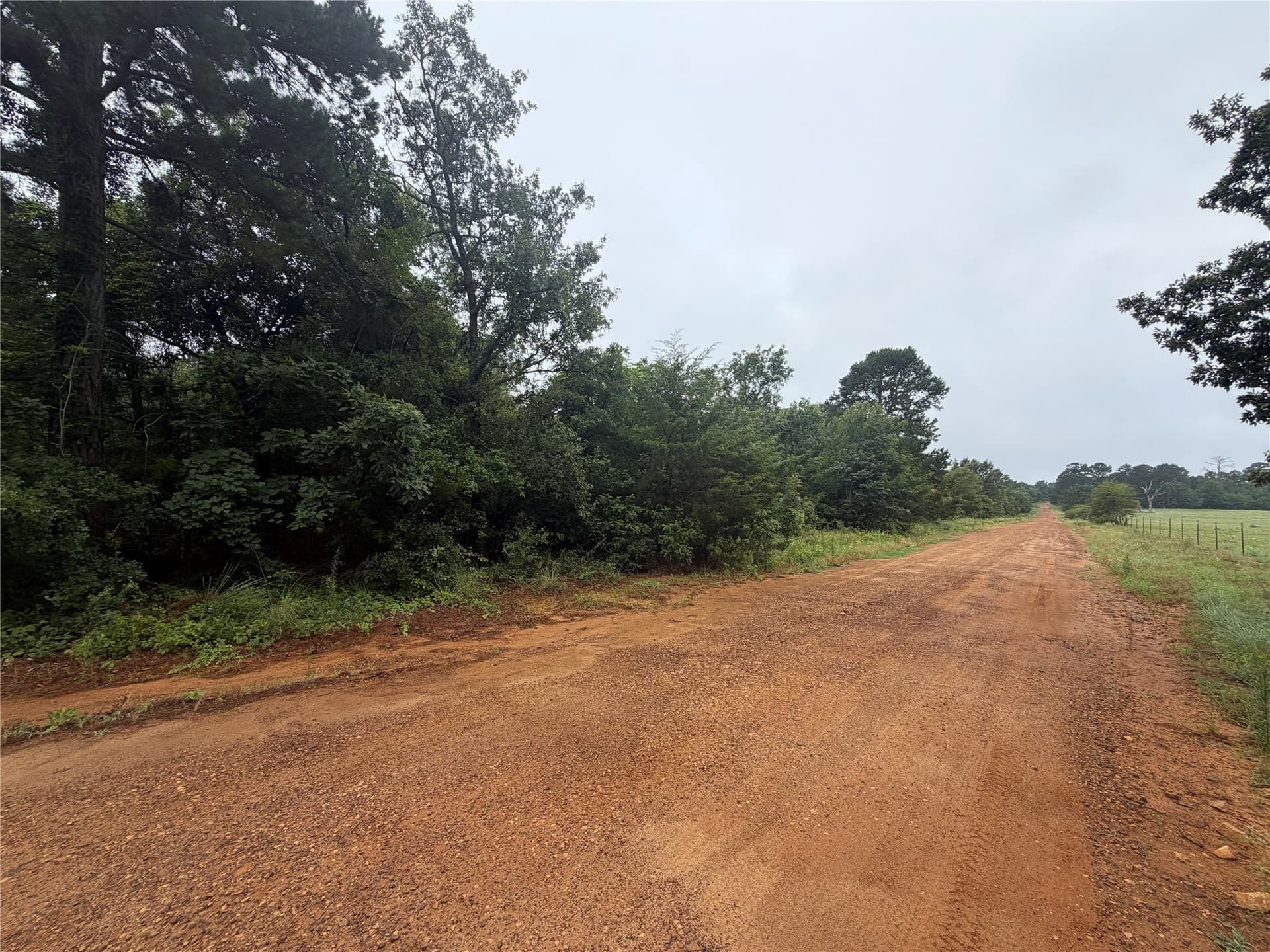 2.75 acres in Wood County - photo 2