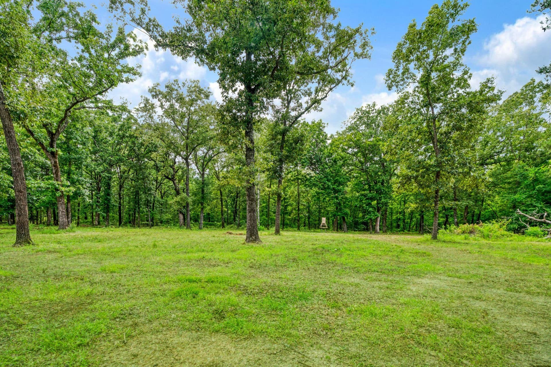 14.72 acres in Red River (TX) County - photo 36