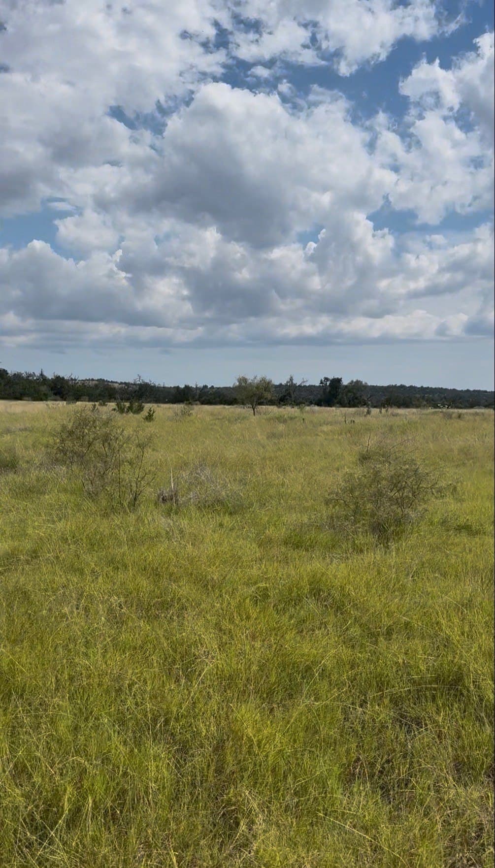 11 acres in Gillespie County - photo 3