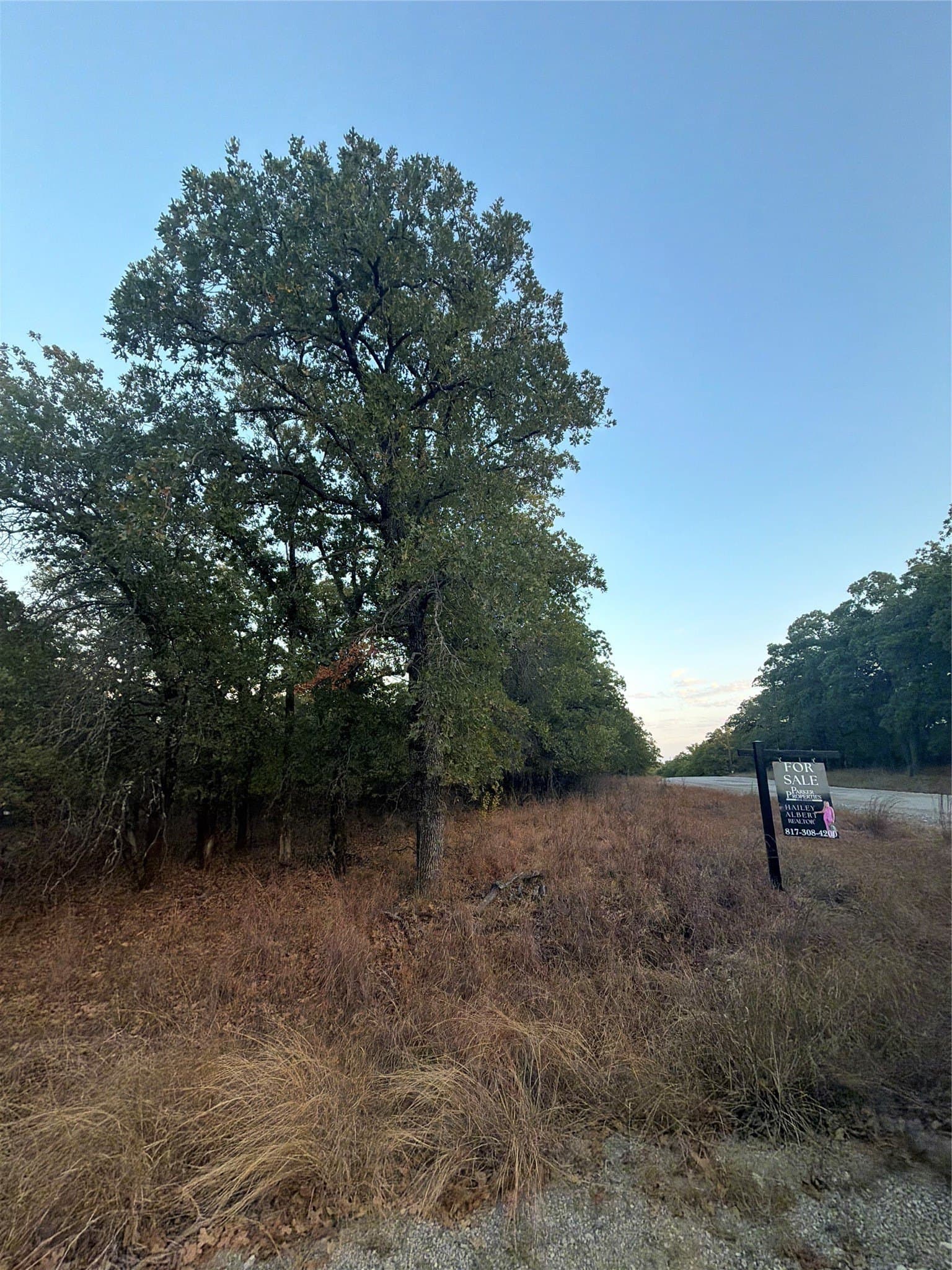 0.25 acres in Montague County - photo 2