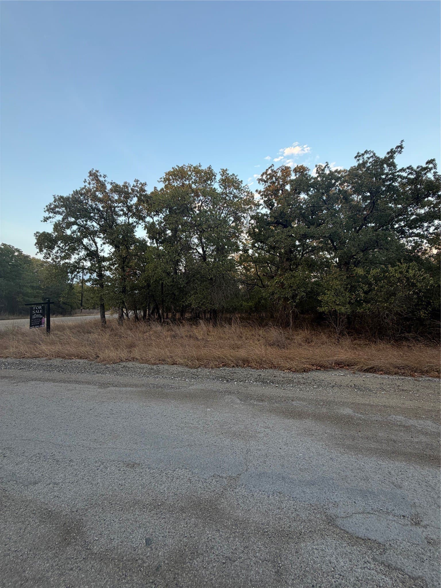 0.25 acres in Montague County - photo 5