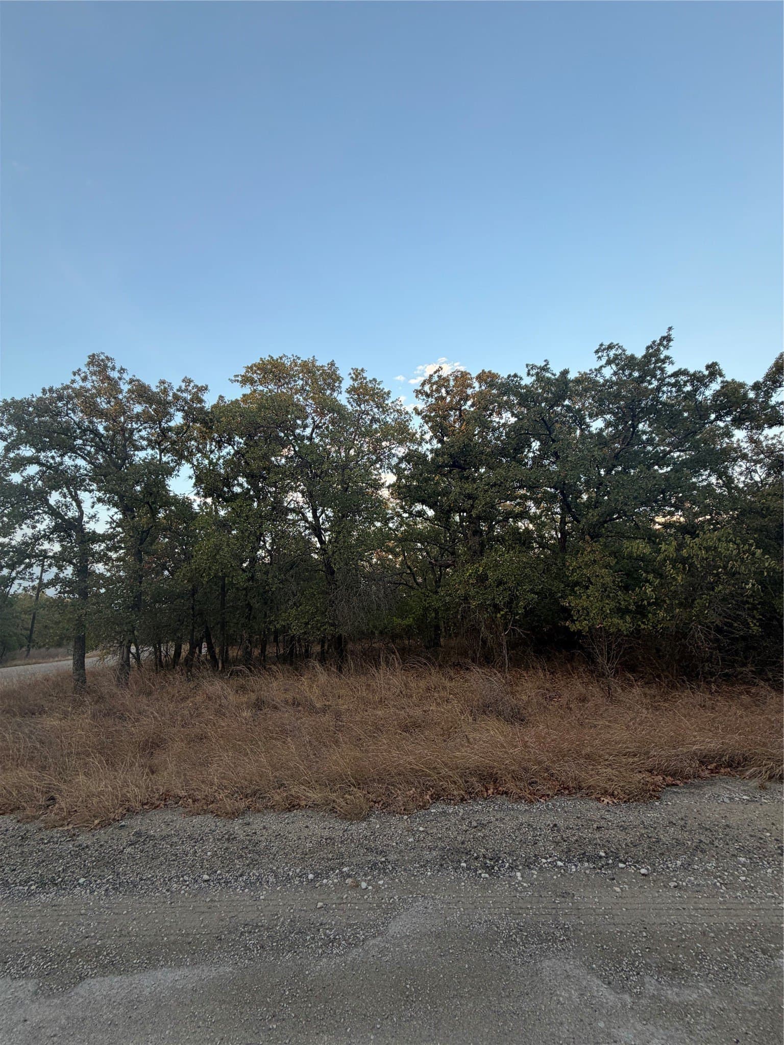 0.25 acres in Montague County - photo 4