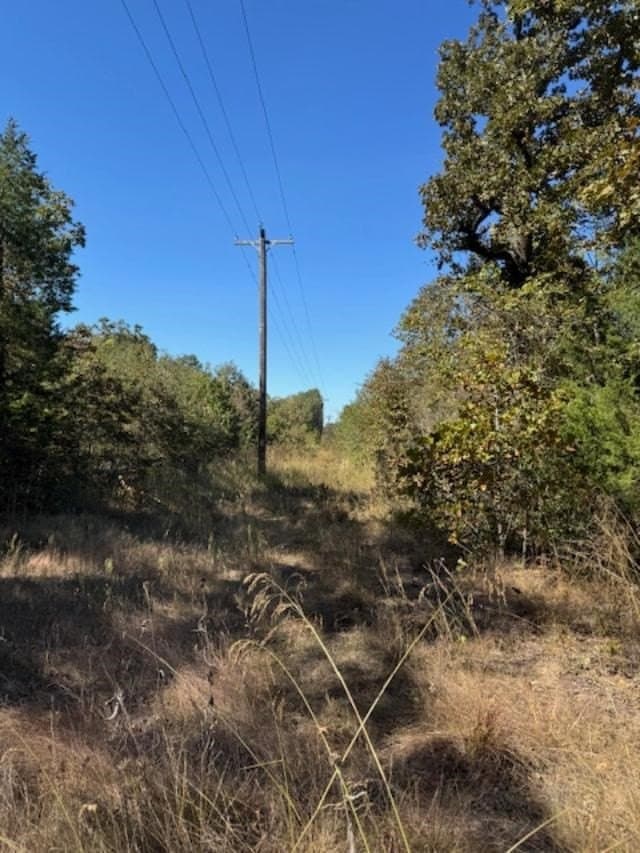 87 acres in VAN ZANDT County gallery image 2